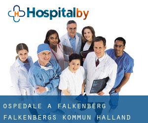 ospedale a Falkenberg (Falkenbergs Kommun, Halland)