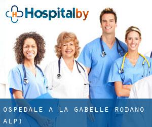 ospedale a La Gabelle (Rodano-Alpi)