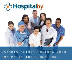BAVARIA Klinik Freyung GmbH und Co. KG Abteilung für Orthopädie (Geyersberg)