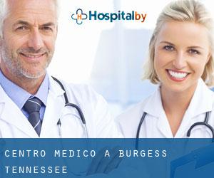 Centro Medico a Burgess (Tennessee)