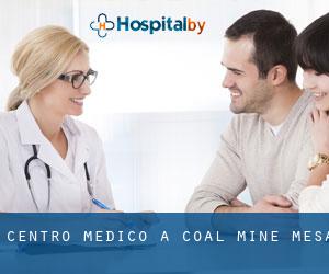 Centro Medico a Coal Mine Mesa