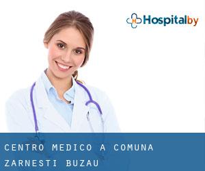 Centro Medico a Comuna Zărneşti (Buzău)