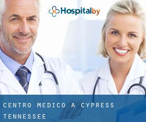 Centro Medico a Cypress (Tennessee)