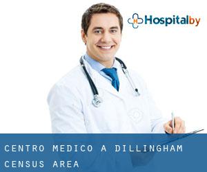 Centro Medico a Dillingham Census Area