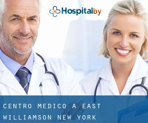 Centro Medico a East Williamson (New York)