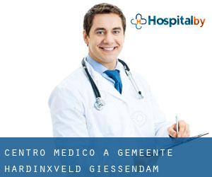 Centro Medico a Gemeente Hardinxveld-Giessendam