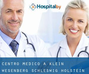 Centro Medico a Klein Wesenberg (Schleswig-Holstein)