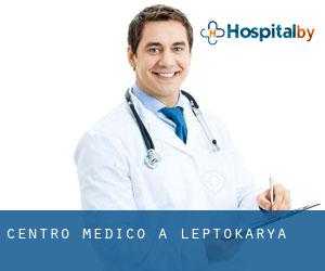 Centro Medico a Leptokaryá