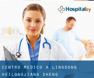 Centro Medico a Lingdong (Heilongjiang Sheng)