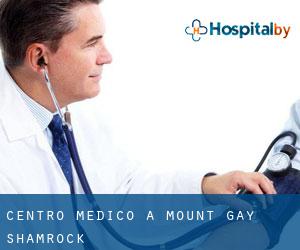 Centro Medico a Mount Gay-Shamrock