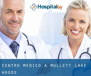 Centro Medico a Mullett Lake Woods