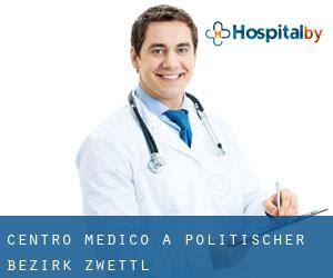 Centro Medico a Politischer Bezirk Zwettl