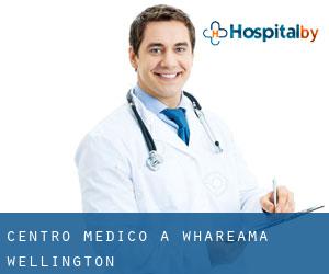 Centro Medico a Whareama (Wellington)