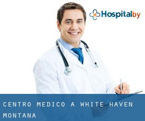 Centro Medico a White Haven (Montana)