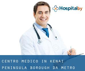Centro Medico in Kenai Peninsula Borough da metro - pagina 1