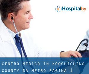 Centro Medico in Koochiching County da metro - pagina 1