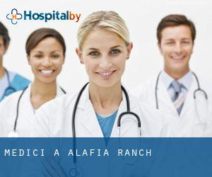 Medici a Alafia Ranch