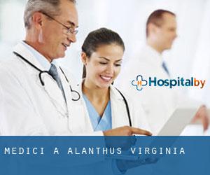 Medici a Alanthus (Virginia)