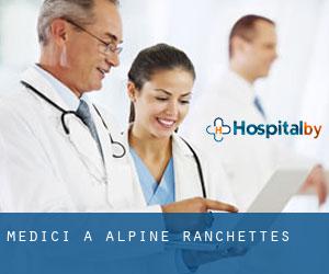 Medici a Alpine Ranchettes