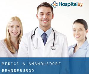 Medici a Amandusdorf (Brandeburgo)