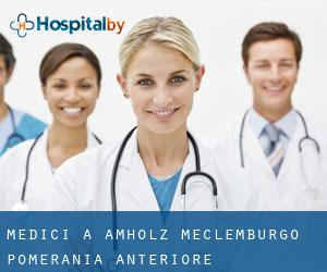 Medici a Amholz (Meclemburgo-Pomerania Anteriore)