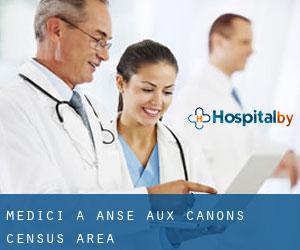 Medici a Anse-aux-Canons (census area)