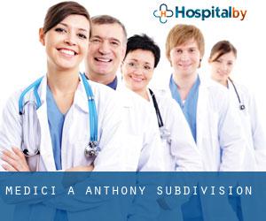 Medici a Anthony Subdivision