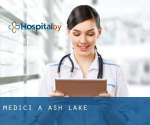 Medici a Ash Lake