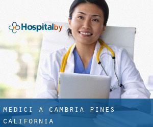 Medici a Cambria Pines (California)