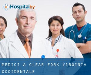 Medici a Clear Fork (Virginia Occidentale)