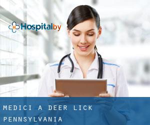Medici a Deer Lick (Pennsylvania)