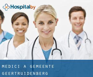Medici a Gemeente Geertruidenberg