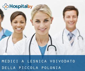 Medici a Leśnica (Voivodato della Piccola Polonia)