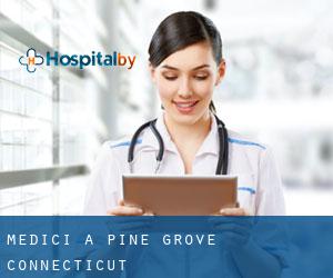 Medici a Pine Grove (Connecticut)