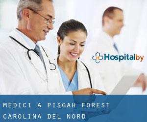 Medici a Pisgah Forest (Carolina del Nord)