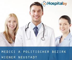 Medici a Politischer Bezirk Wiener Neustadt