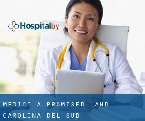 Medici a Promised Land (Carolina del Sud)