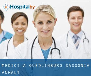 Medici a Quedlinburg (Sassonia-Anhalt) Medici a Quedlinburg (Sassonia-Anhalt)