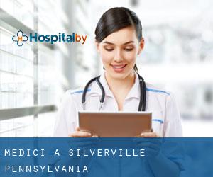 Medici a Silverville (Pennsylvania)