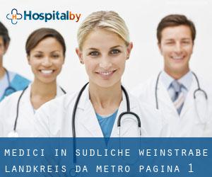 Medici in Südliche Weinstraße Landkreis da metro - pagina 1