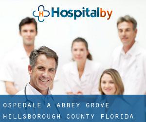 ospedale a Abbey Grove (Hillsborough County, Florida)