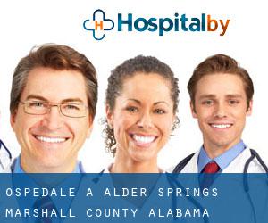 ospedale a Alder Springs (Marshall County, Alabama)