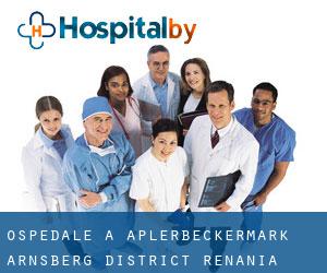 ospedale a Aplerbeckermark (Arnsberg District, Renania Settentrionale-Vestfalia)