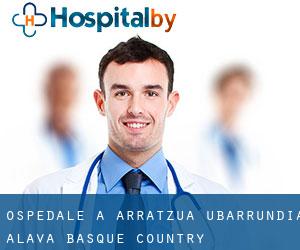 ospedale a Arratzua-Ubarrundia (Alava, Basque Country)