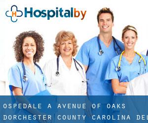 ospedale a Avenue of Oaks (Dorchester County, Carolina del Sud)