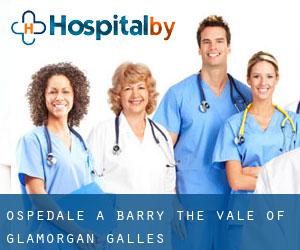 ospedale a Barry (The Vale of Glamorgan, Galles) ospedale a Barry (The Vale of Glamorgan, Galles)