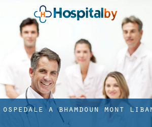 ospedale a Bhamdoun (Mont-Liban)
