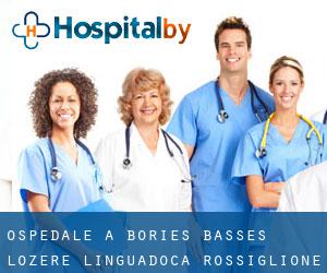 ospedale a Bories Basses (Lozère, Linguadoca-Rossiglione)