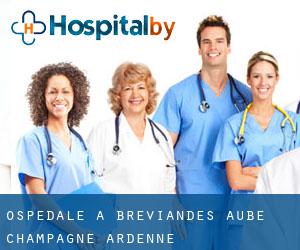 ospedale a Bréviandes (Aube, Champagne-Ardenne)