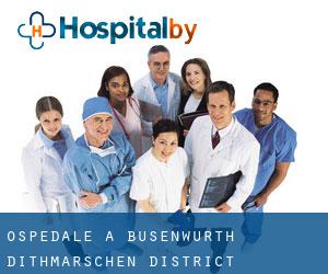ospedale a Busenwurth (Dithmarschen District, Schleswig-Holstein)